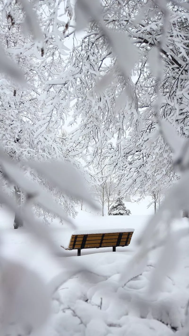 snow, winter, HD phone wallpaper