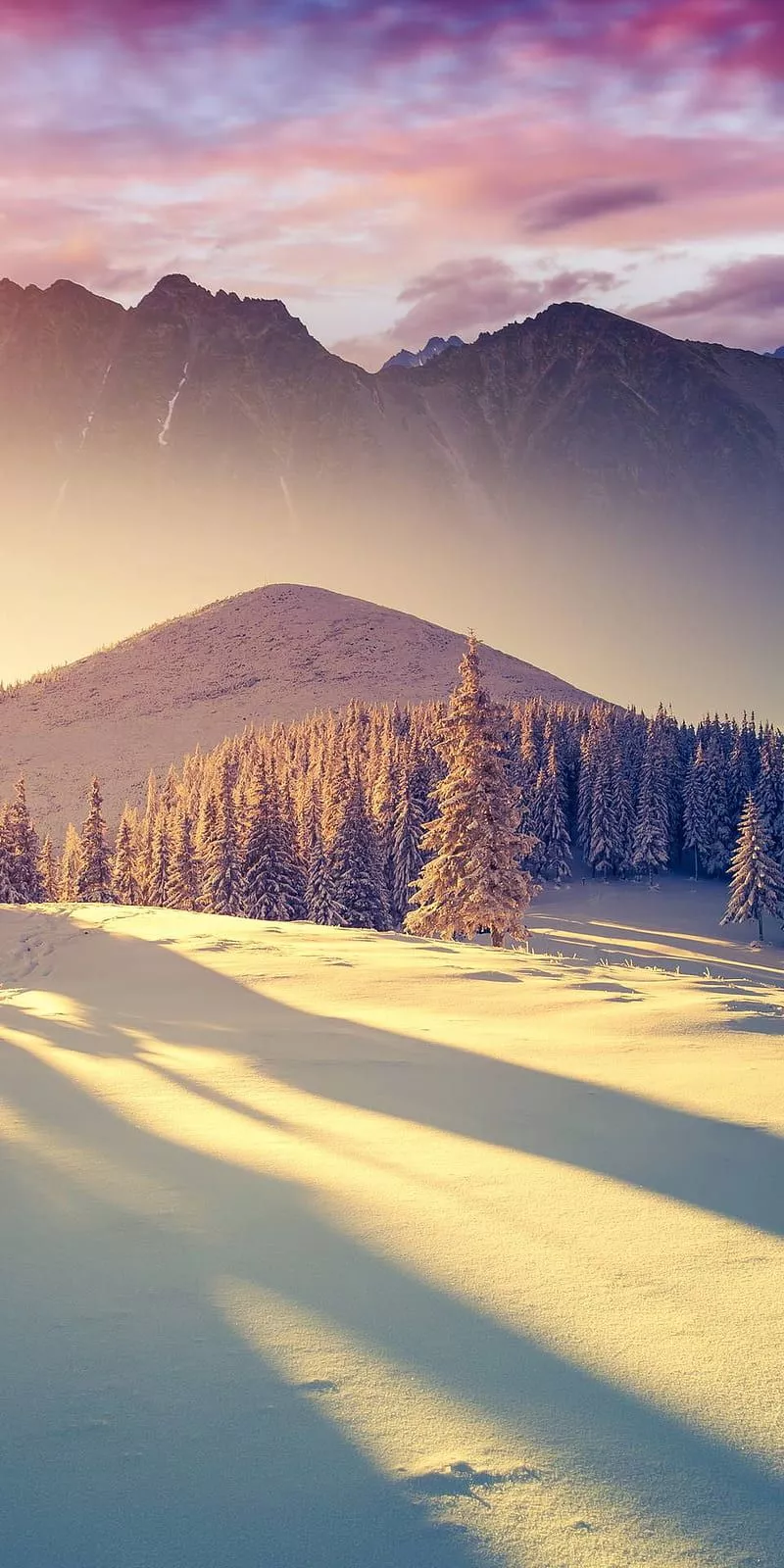 sftonmoy7, HD phone wallpaper