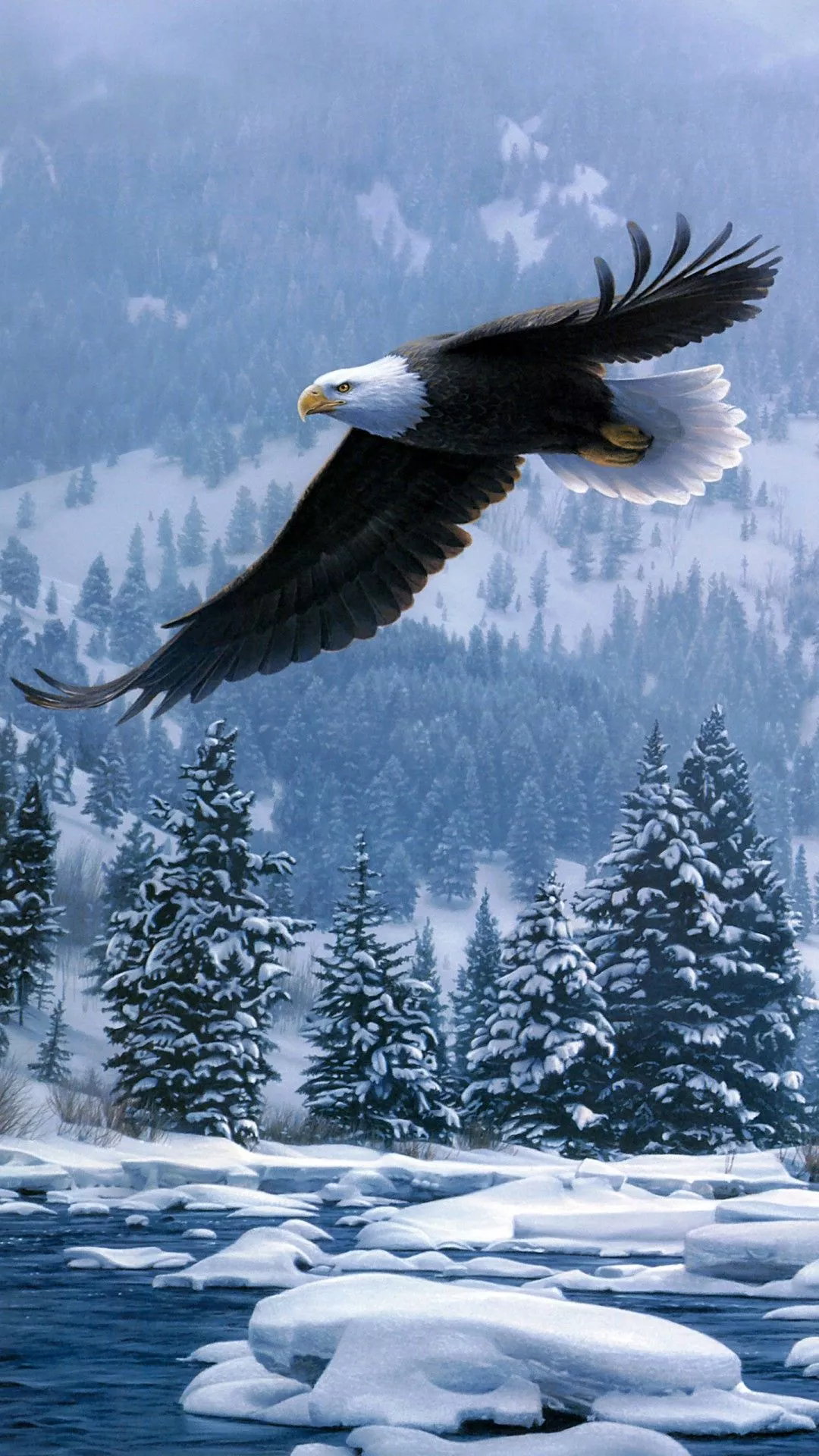 Flying Bald Eagle In Snow Covered