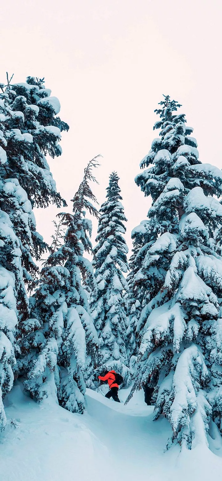 Mountains Covered With Snow 4K Phone Wallpaper