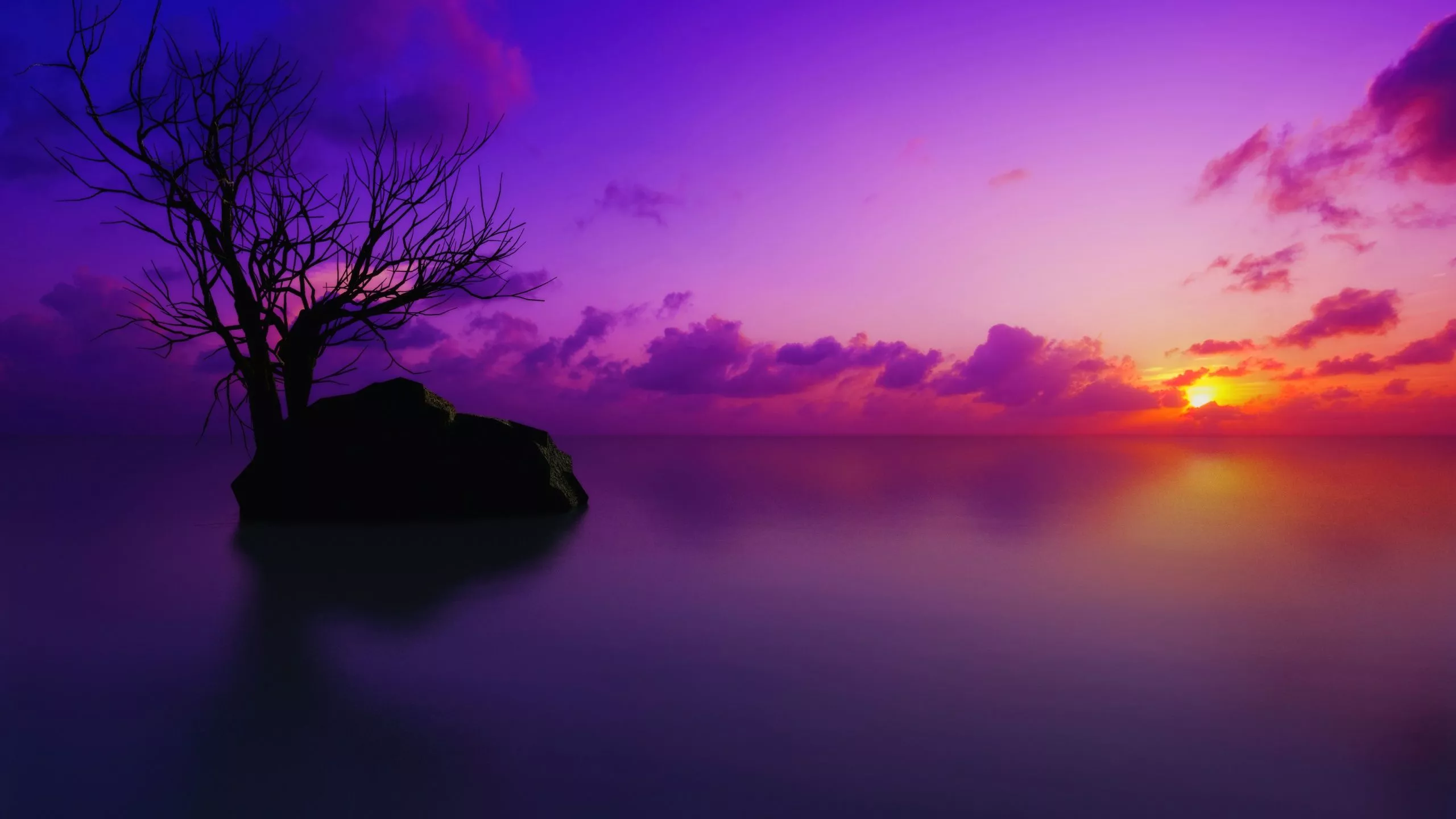 Maldives Wallpaper 4K, Sunset, Lone