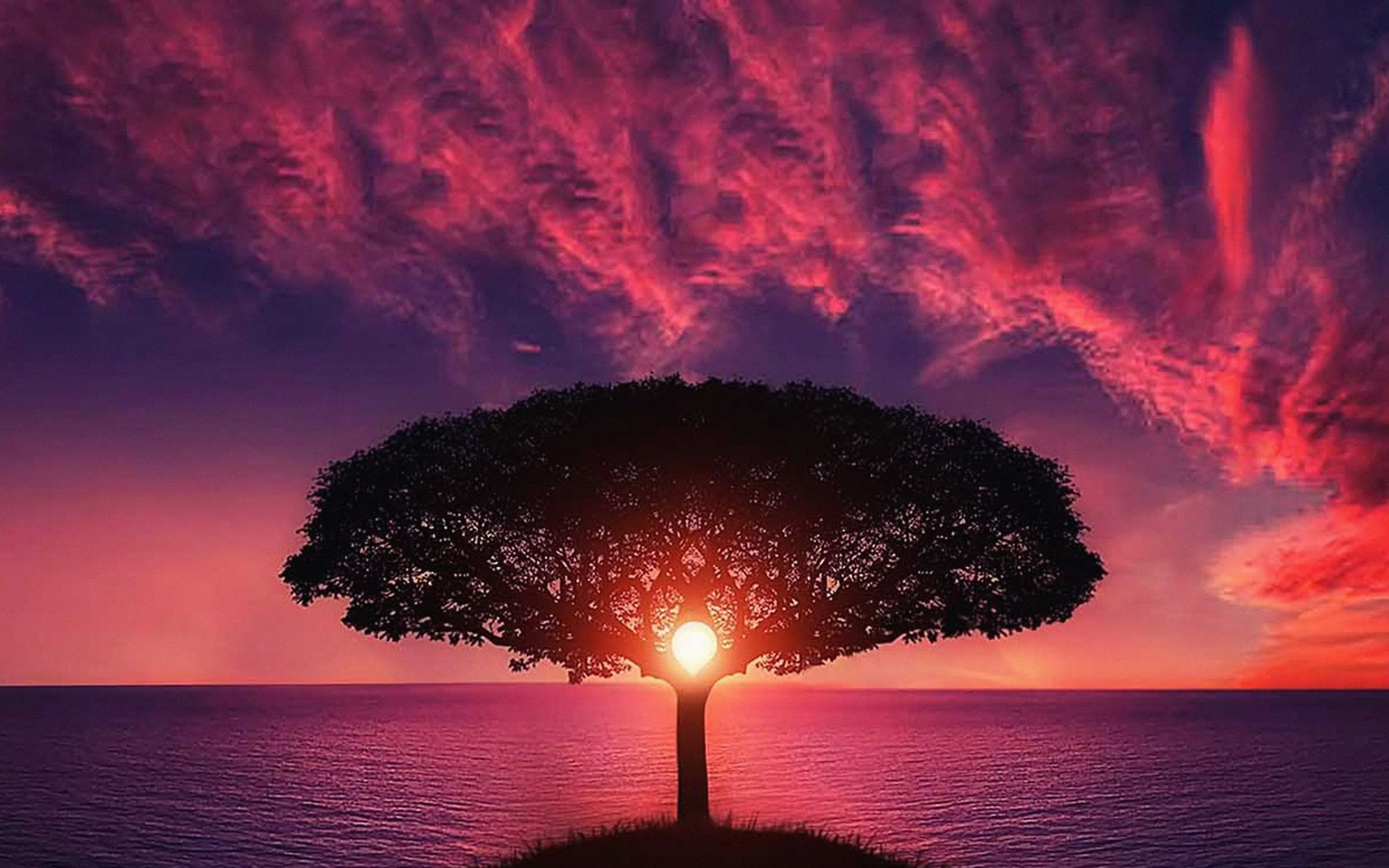 Sea Tree Purple Sky Nature