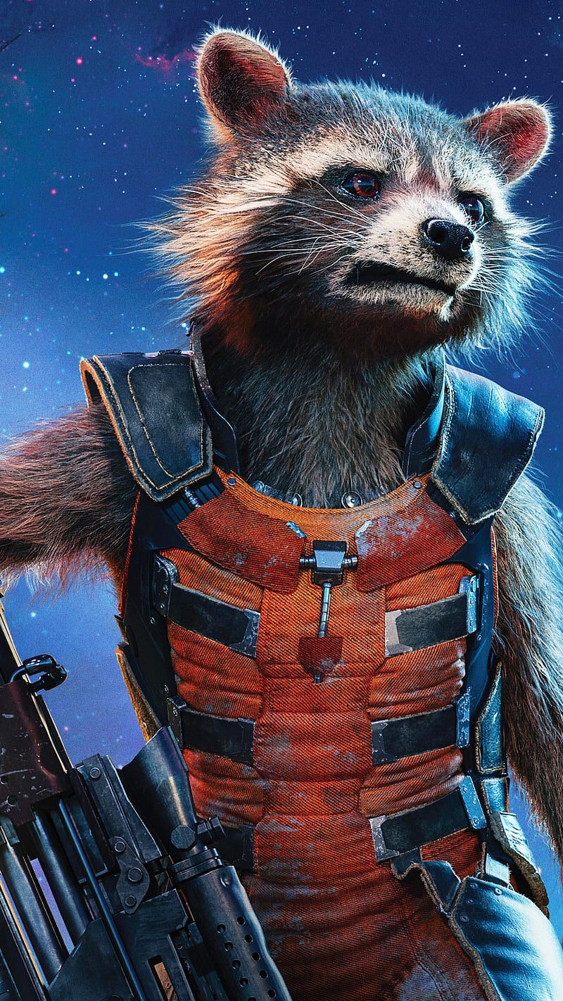 Rocket raccoon, galaxy, guardians