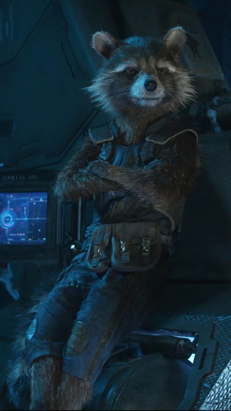 Rocket, avengers infinity war