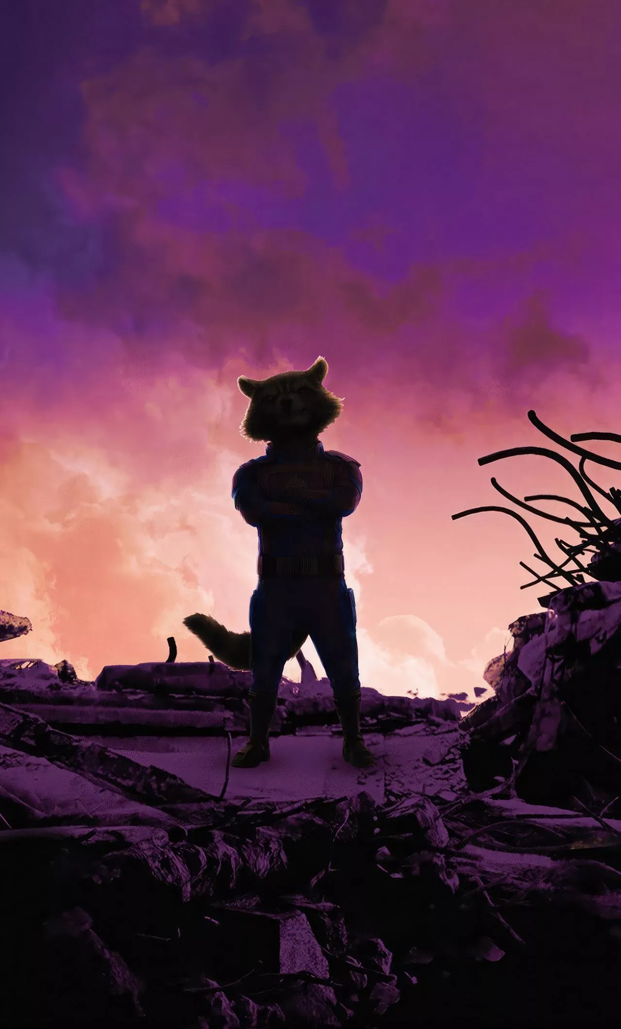 Download wallpaper 1280x2120 rocket