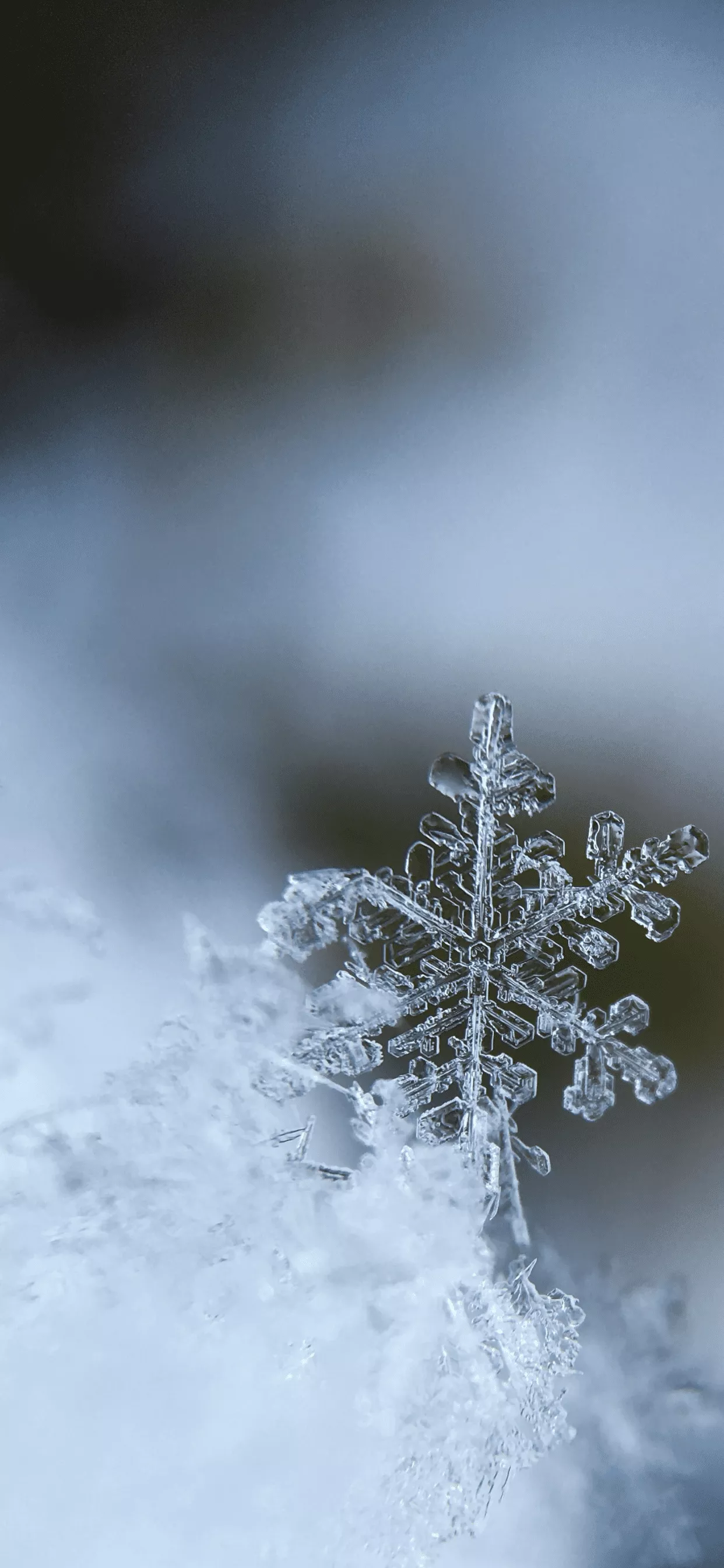 Snowflake store wallpaper iphone