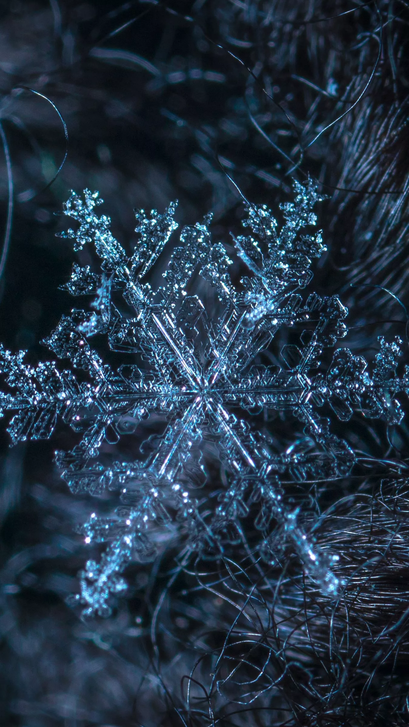 Download wallpaper 1350x2400 snowflake
