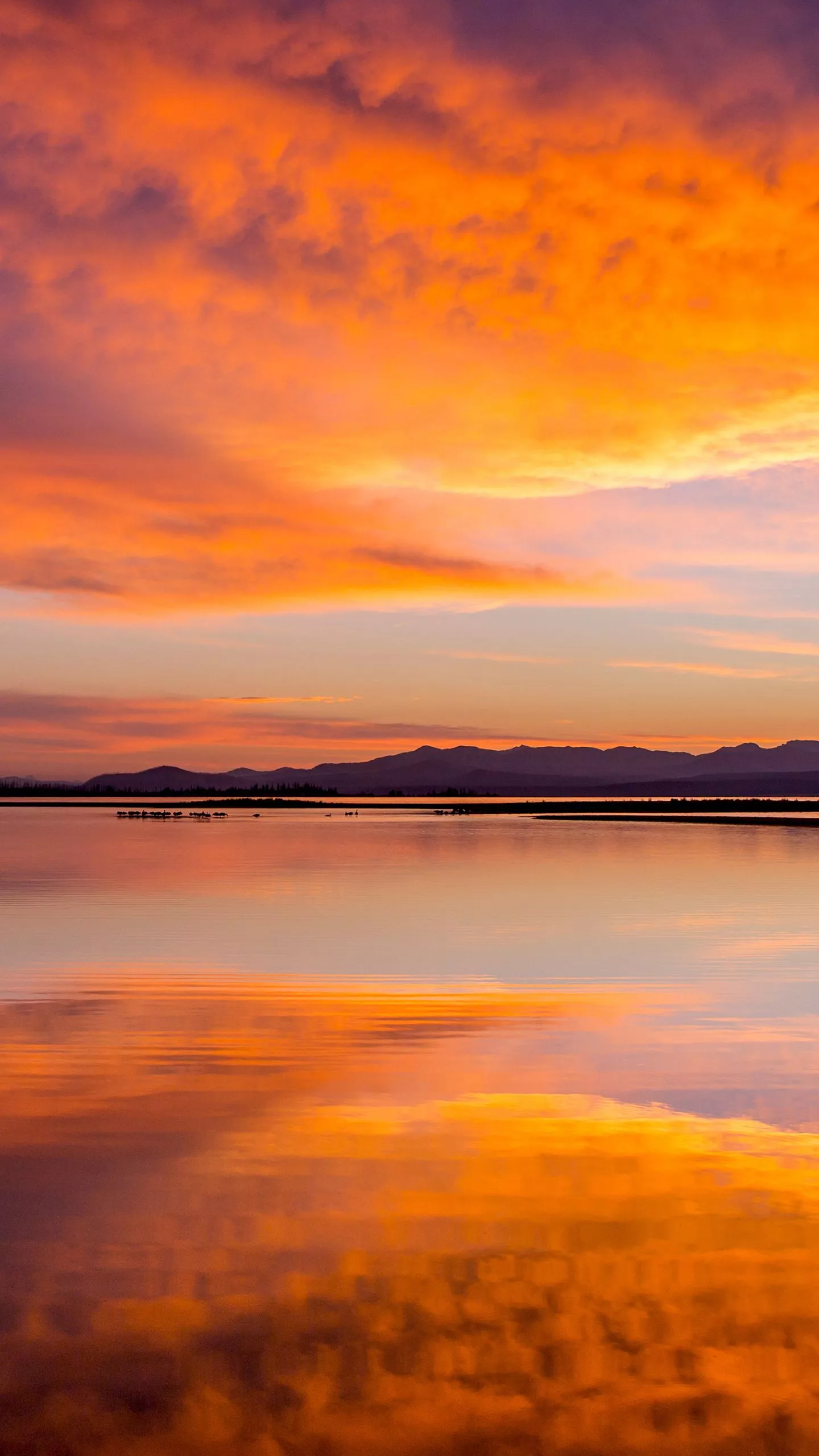 Download Montana Sunrise Reflection