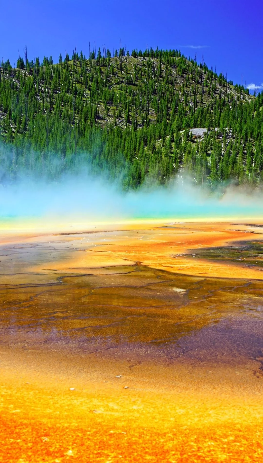 Yellowstone National Park Wallpaper