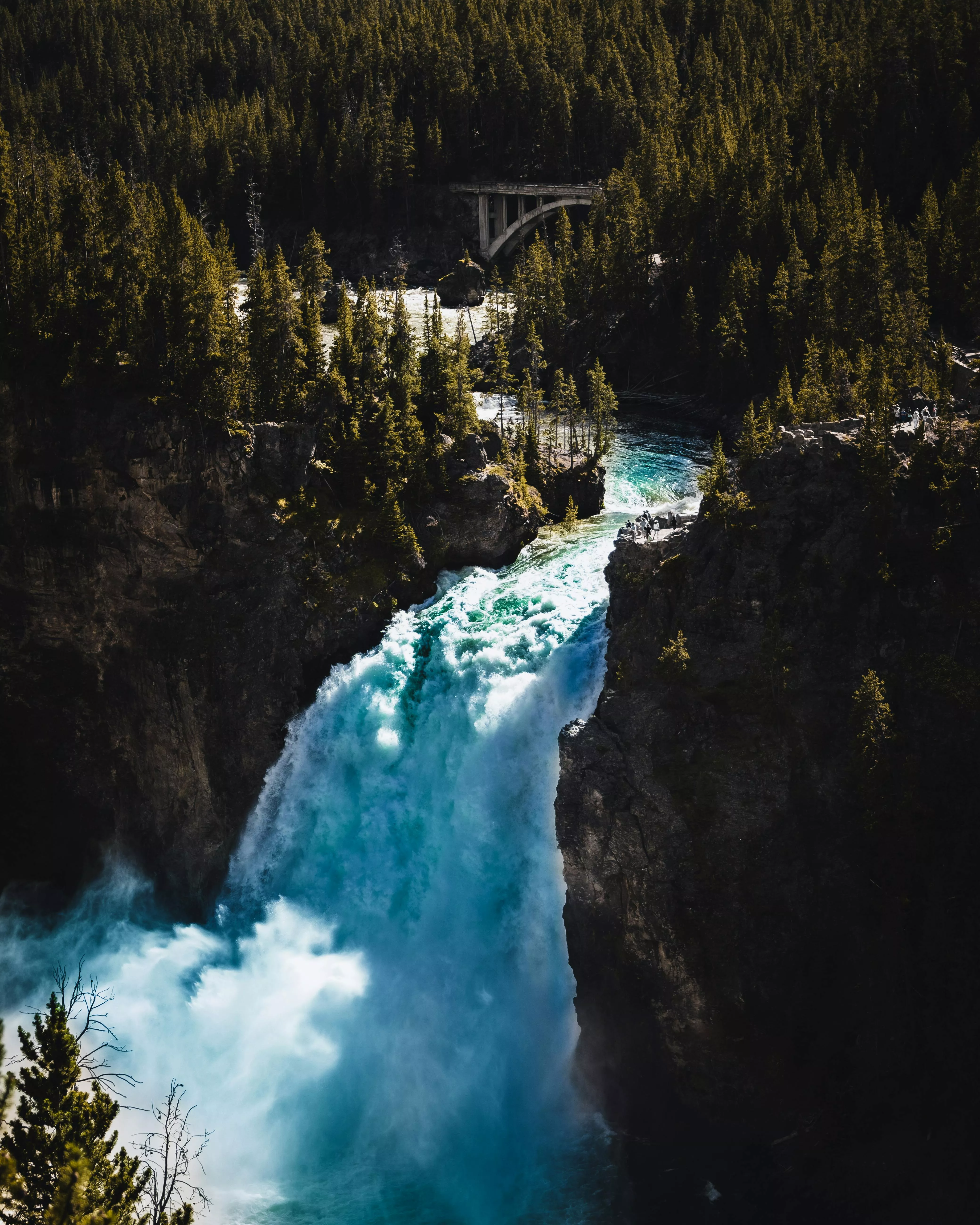 The Upper Yellowstone Falls