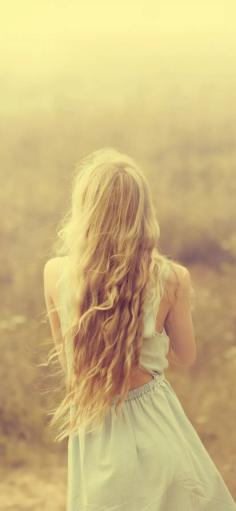 iPhone XR Wallpaper & Background