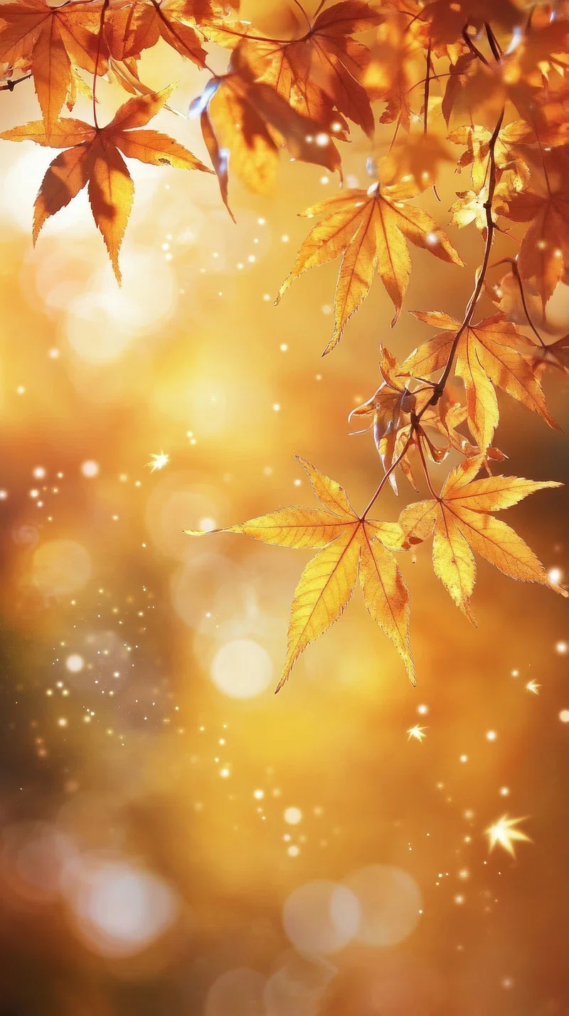 iPhone Wallpaper Autumn Image. Free