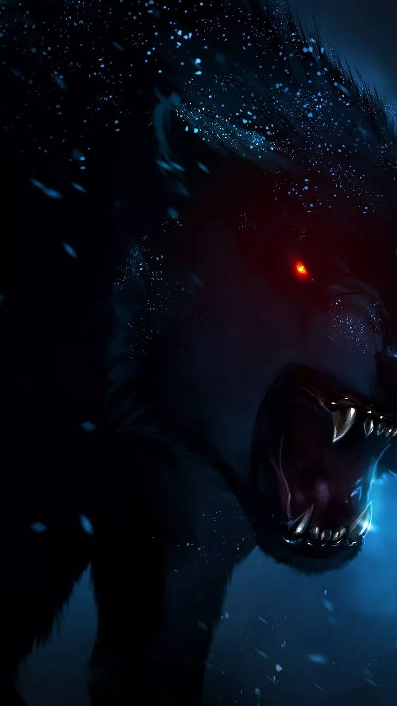 Wolf, alpha wolf, beta wolf, HD phone