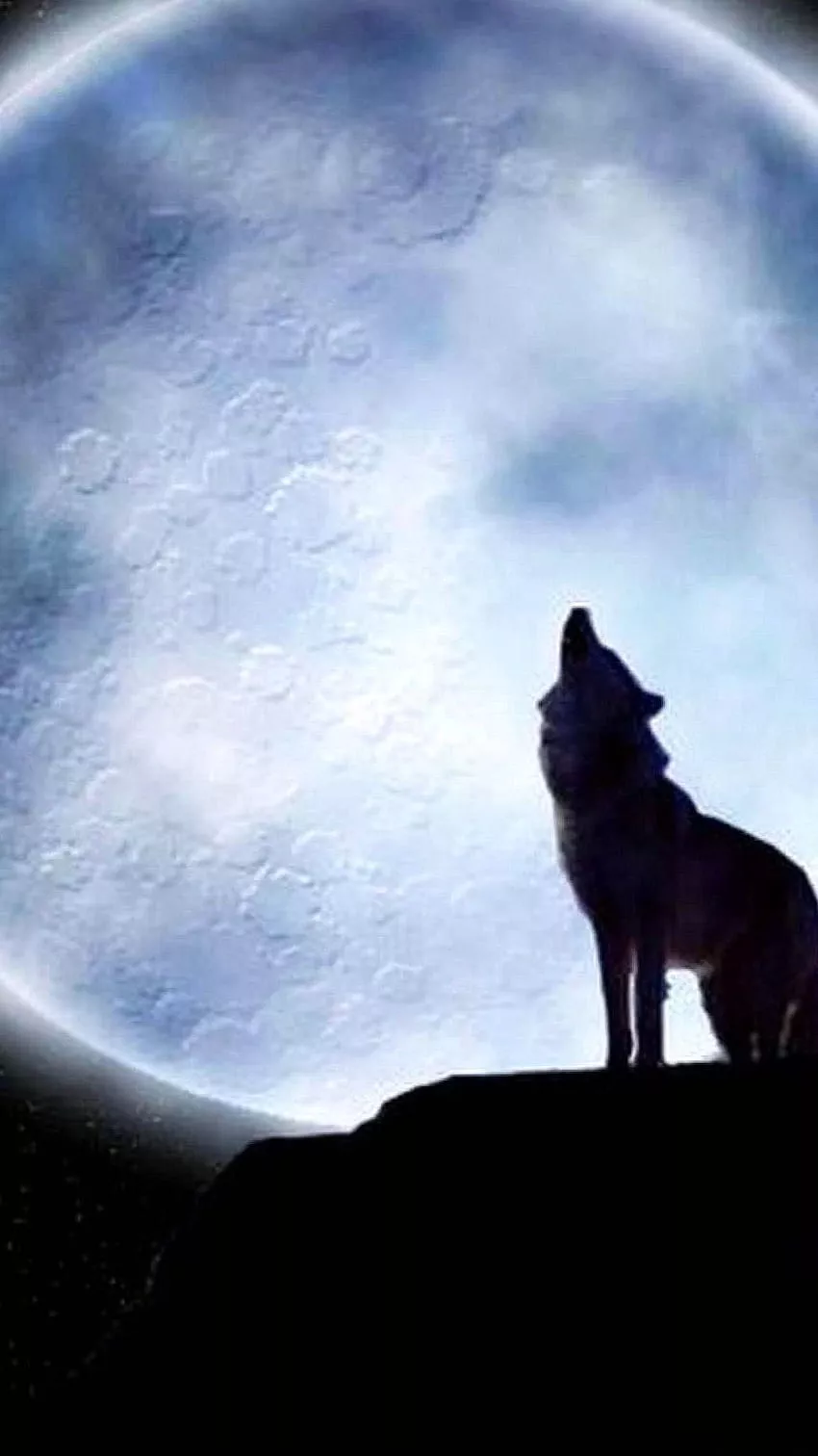 Lone Wolf For iPhone, wolf iphone 12