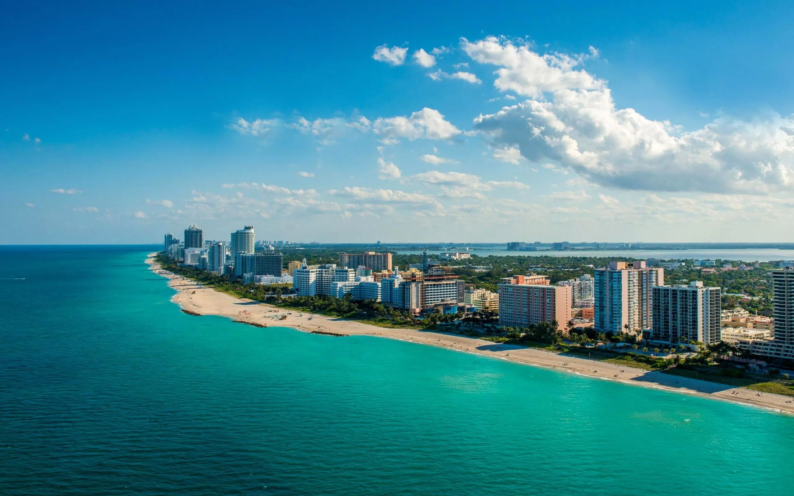 Miami Wallpaper