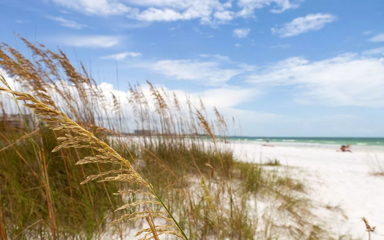 Free Beach Background Image