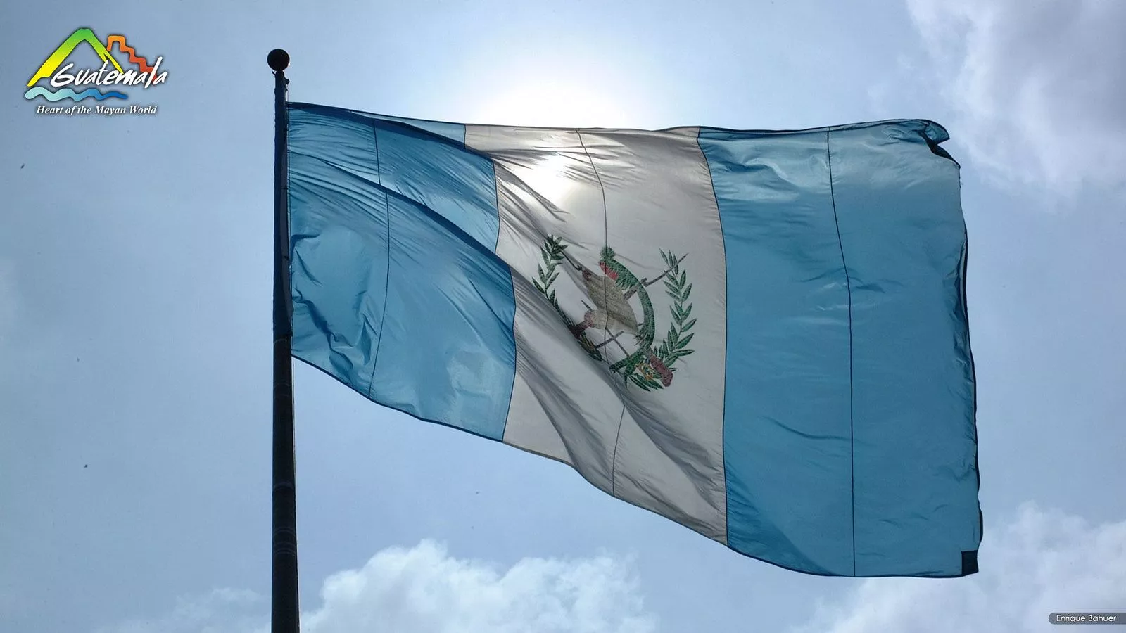 Wallpaper Guatemala's Flag. Free into