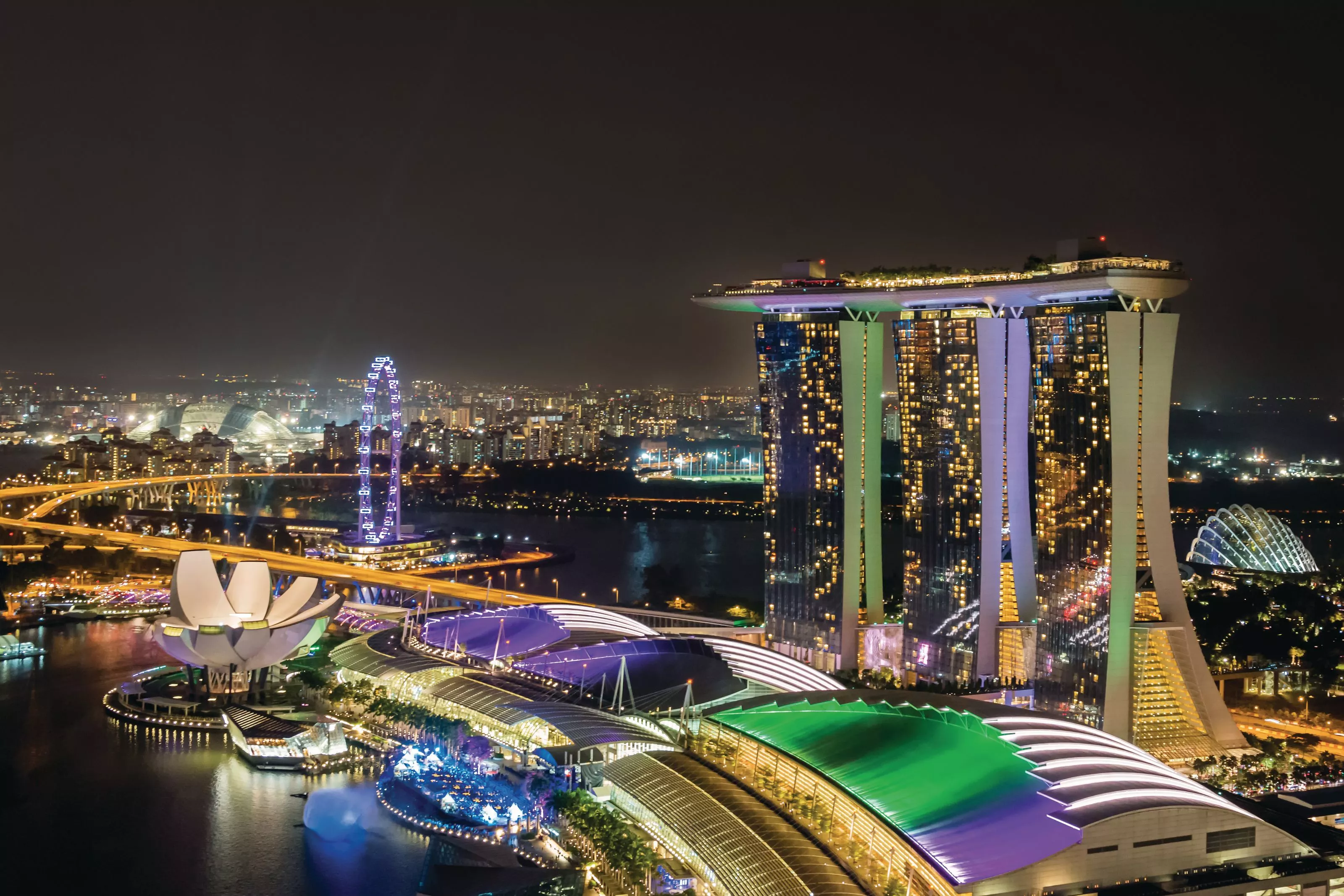 Singapore Skyline at Night Wall Mural