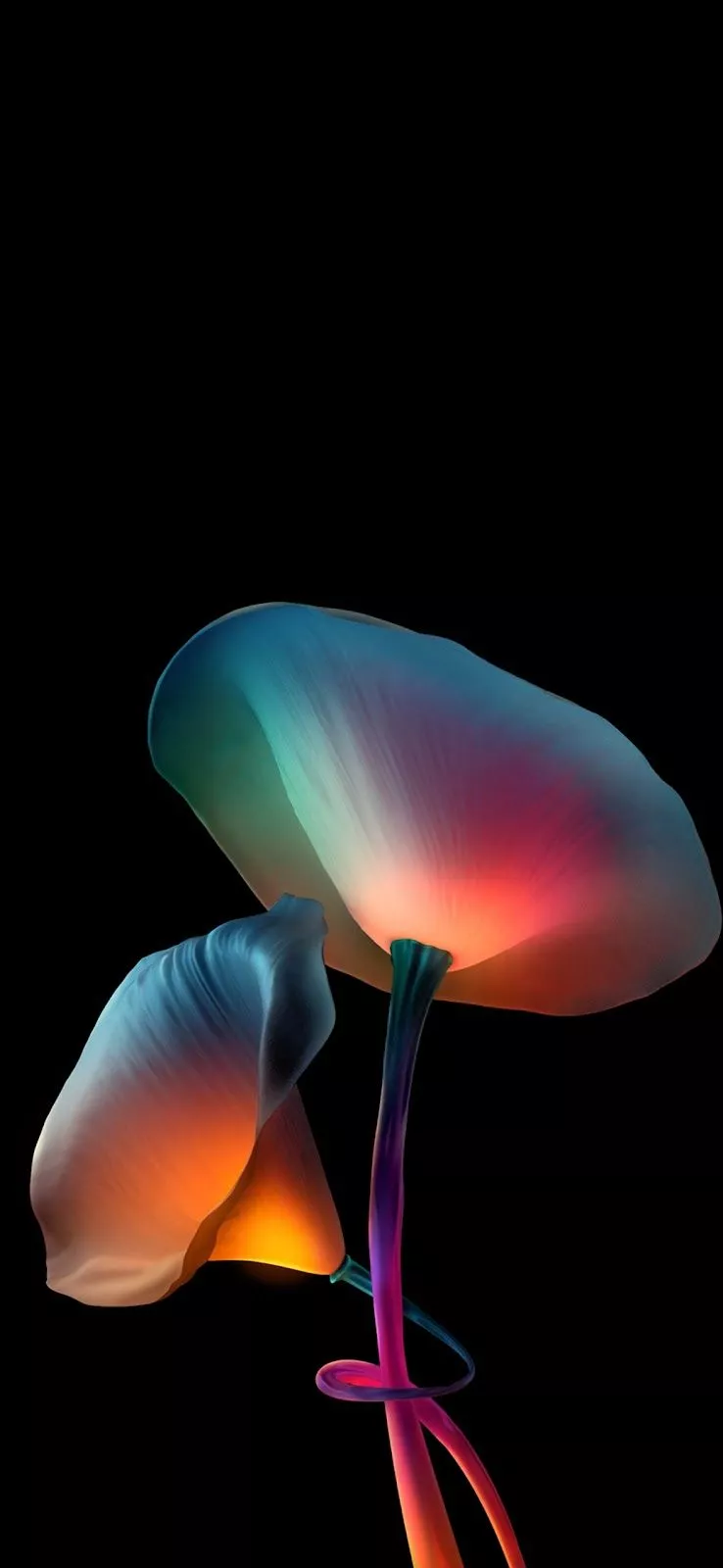 Black OLED Wallpaper HD