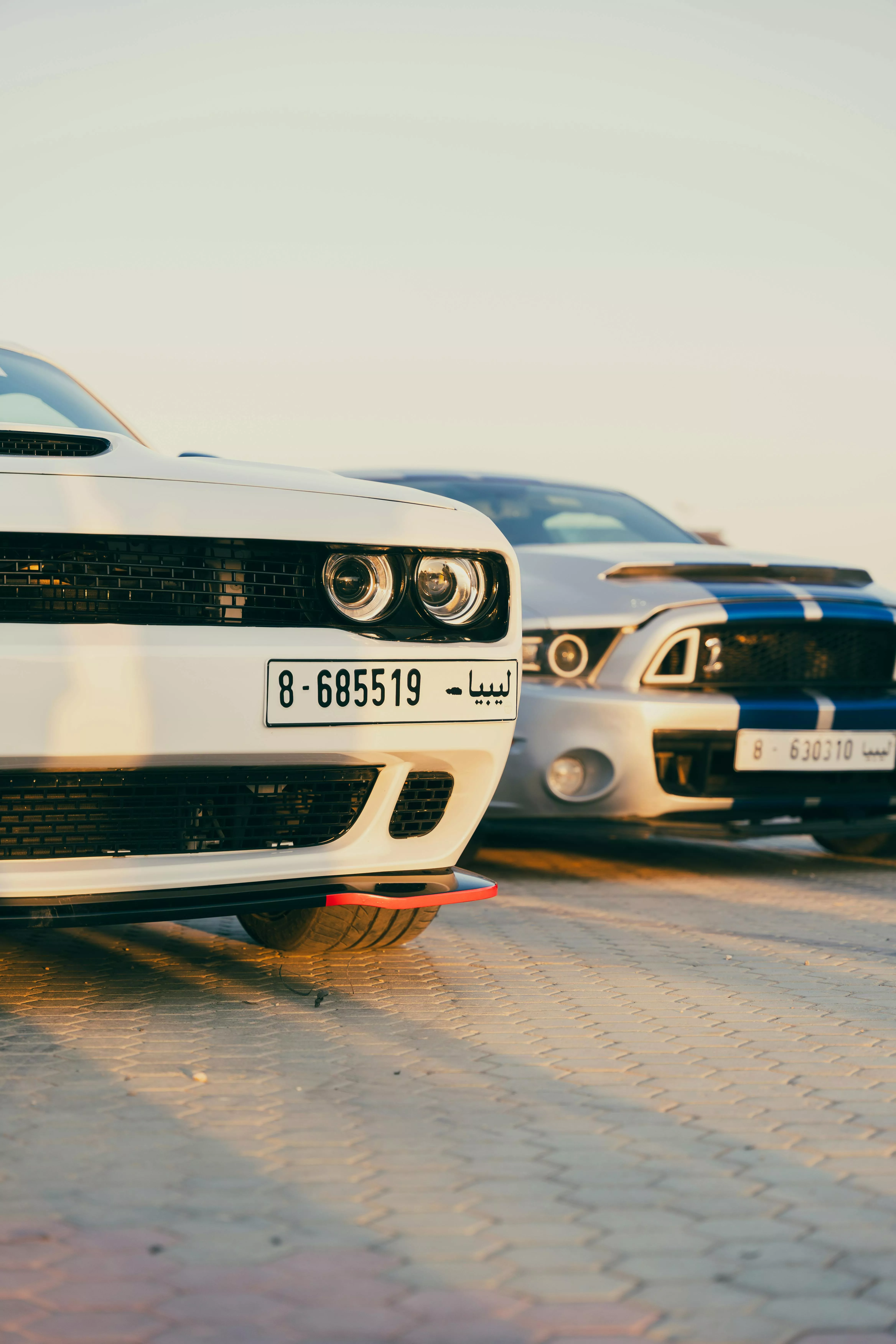 Dodge Challenger Wallpaper Photo