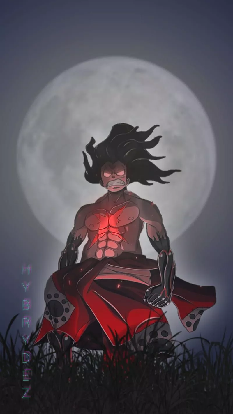 one piece, anime, HD phone wallpaper