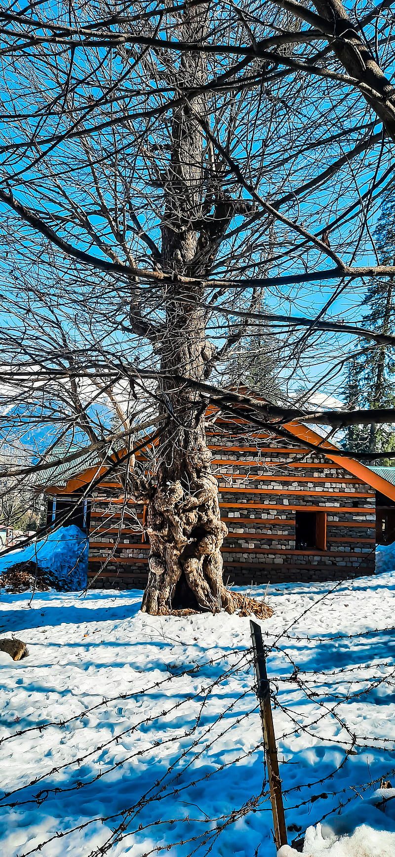 iPhone12 PRO max, ascetics, background