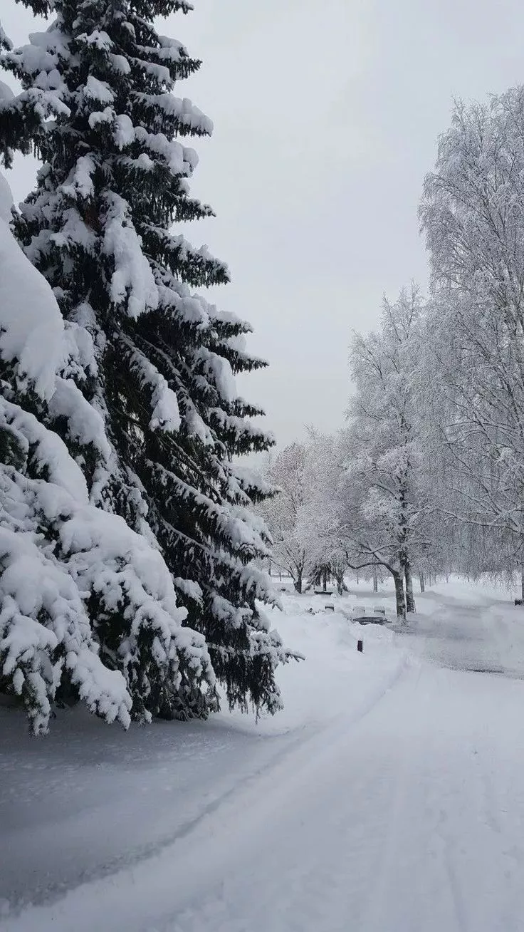 Cute Winter Wallpaper For iPhone