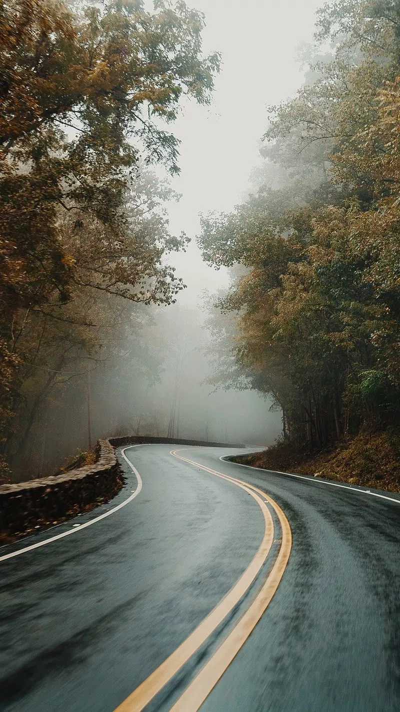 winter, HD phone wallpaper