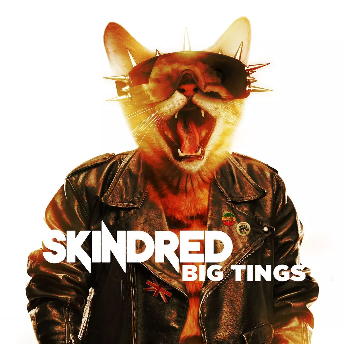 Skindred: albums, songs, playlists