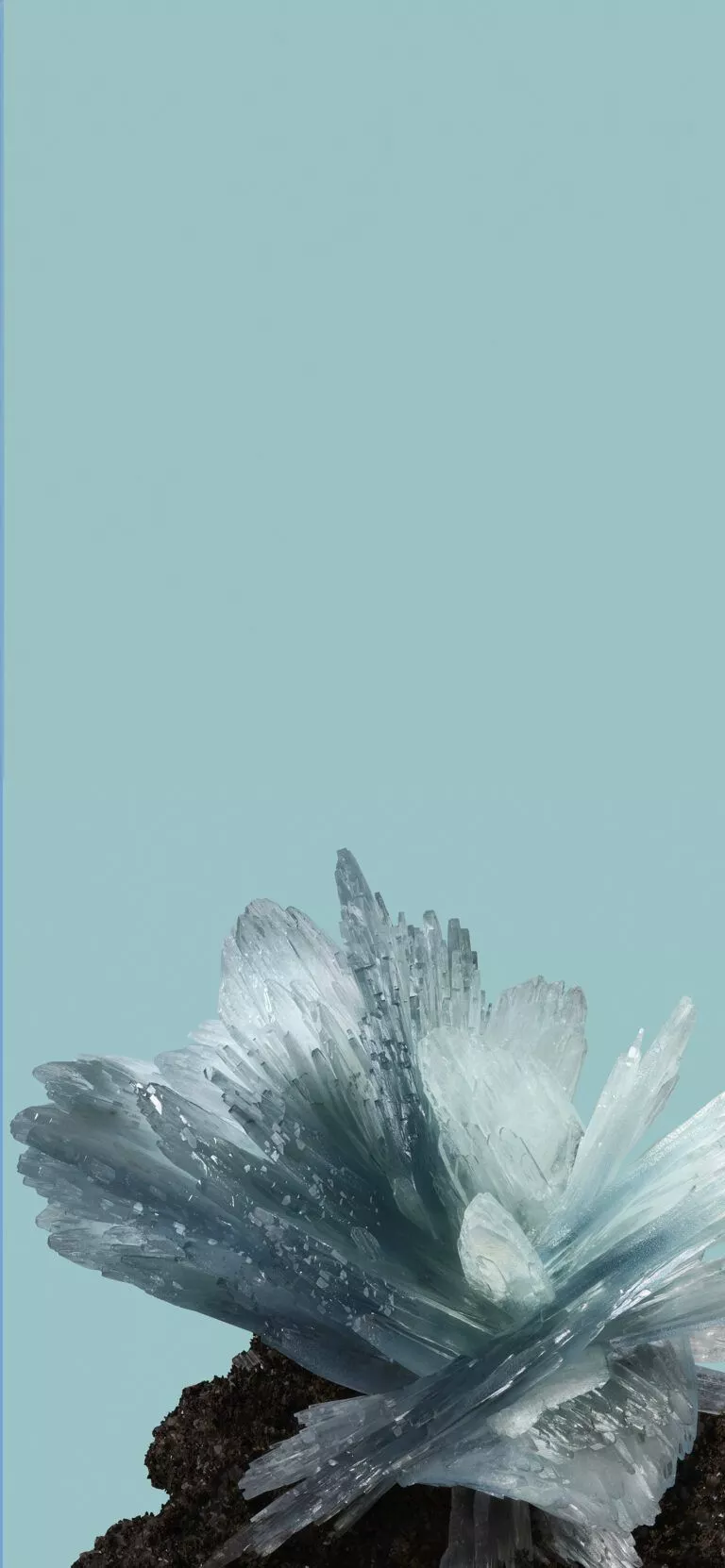 Google Pixel 8 Wallpaper