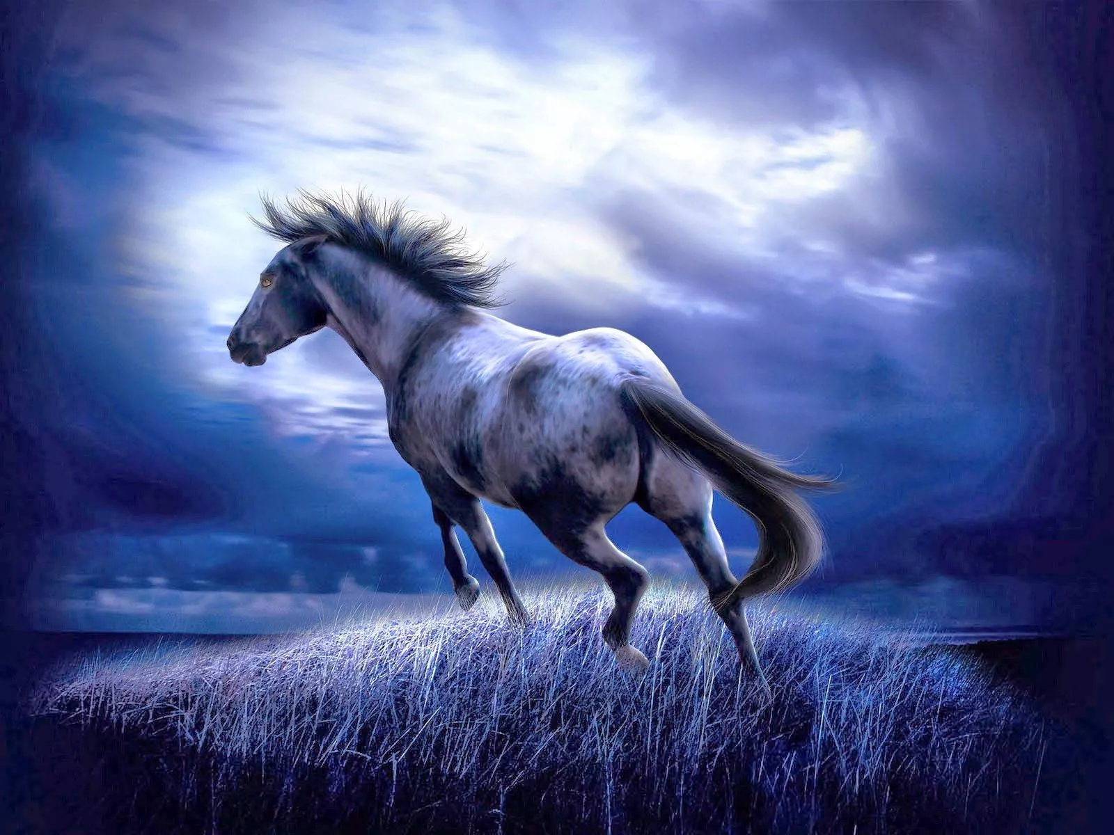 Cute Horse HD Wallpaper