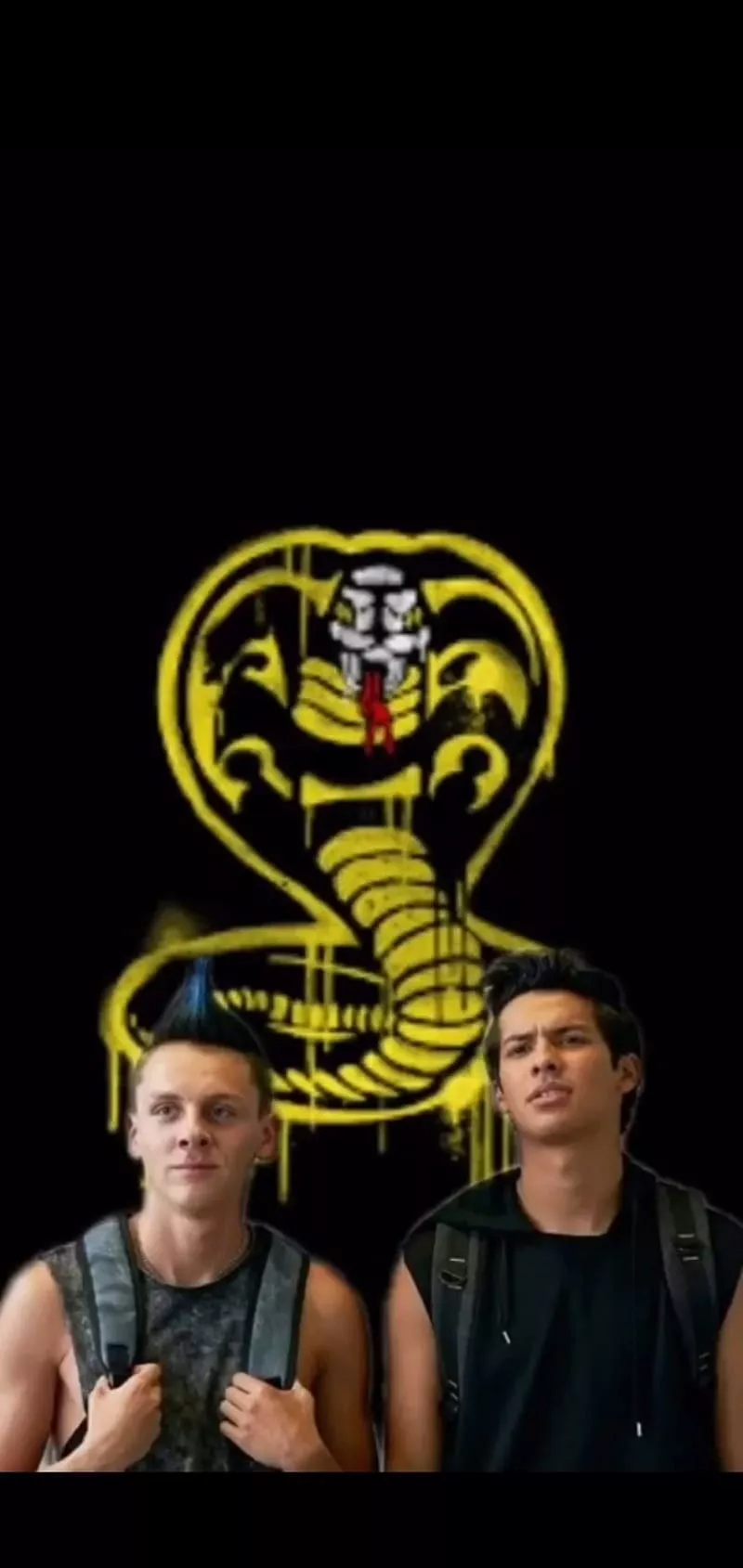 Cobra Kai, cobra kai, halcon, miguel