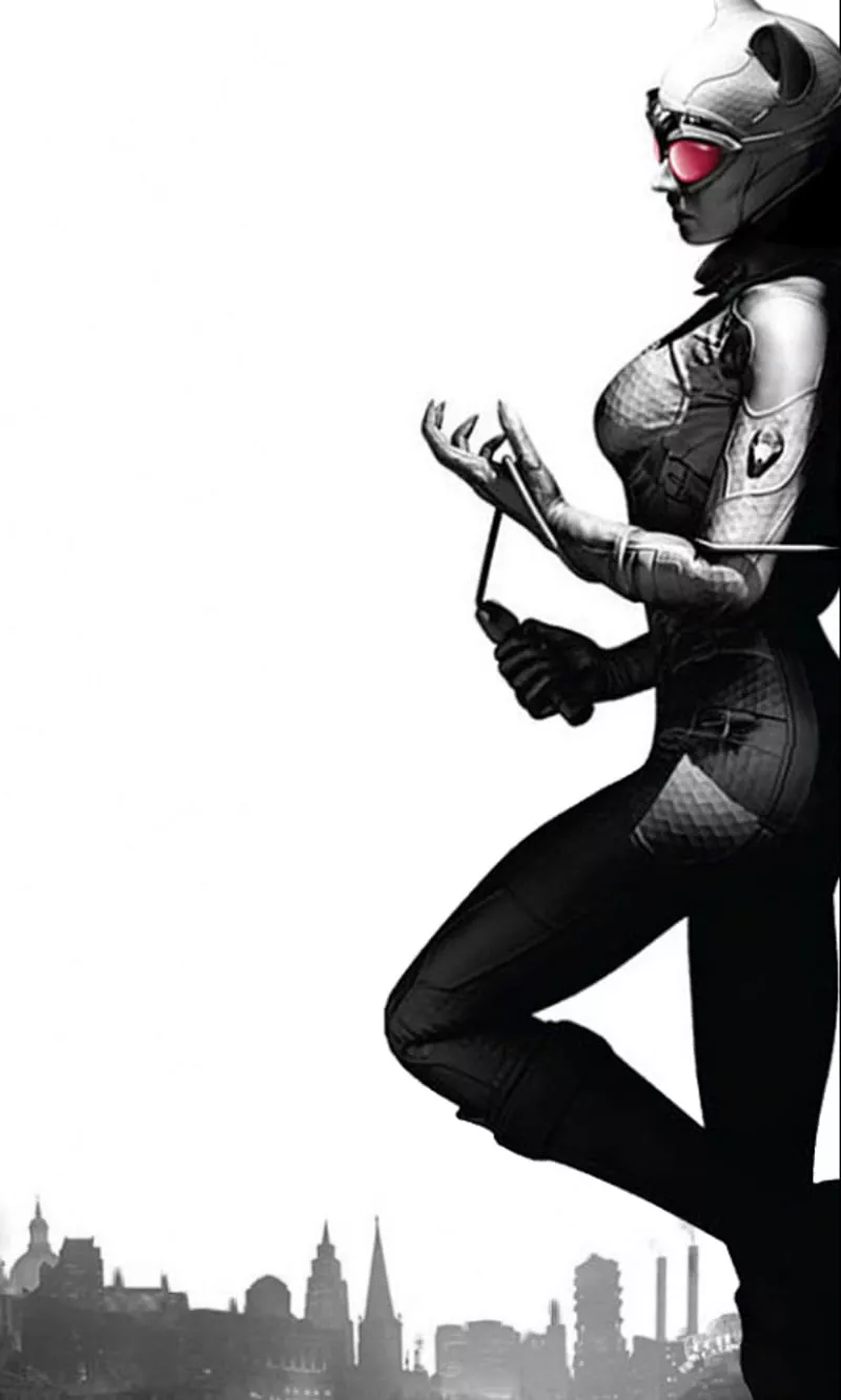 Catwoman, arkham city, catworman, dc