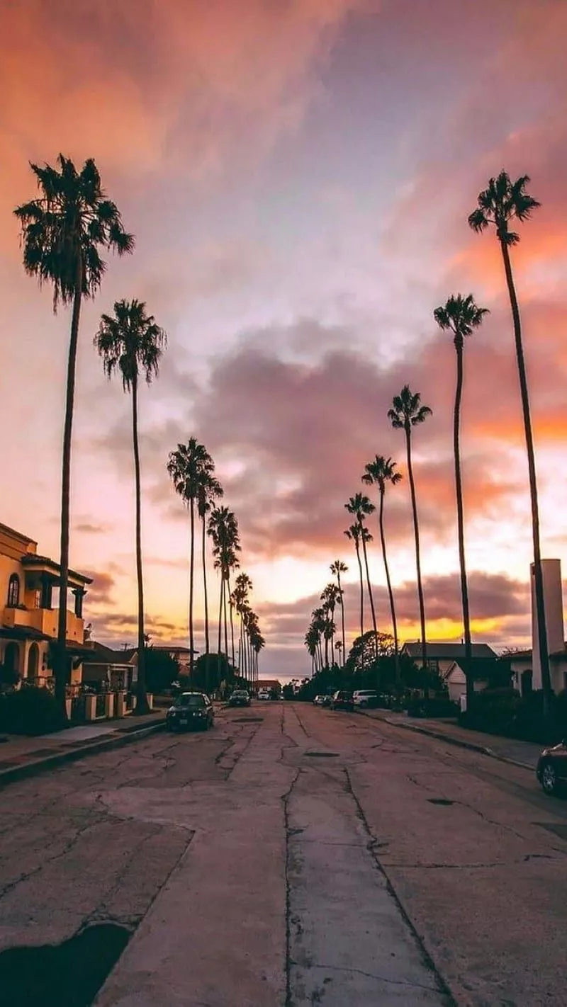 Los Angeles City, HD wallpaper