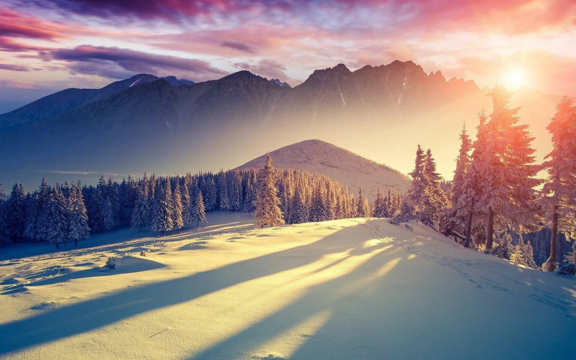 Winter Wallpaper