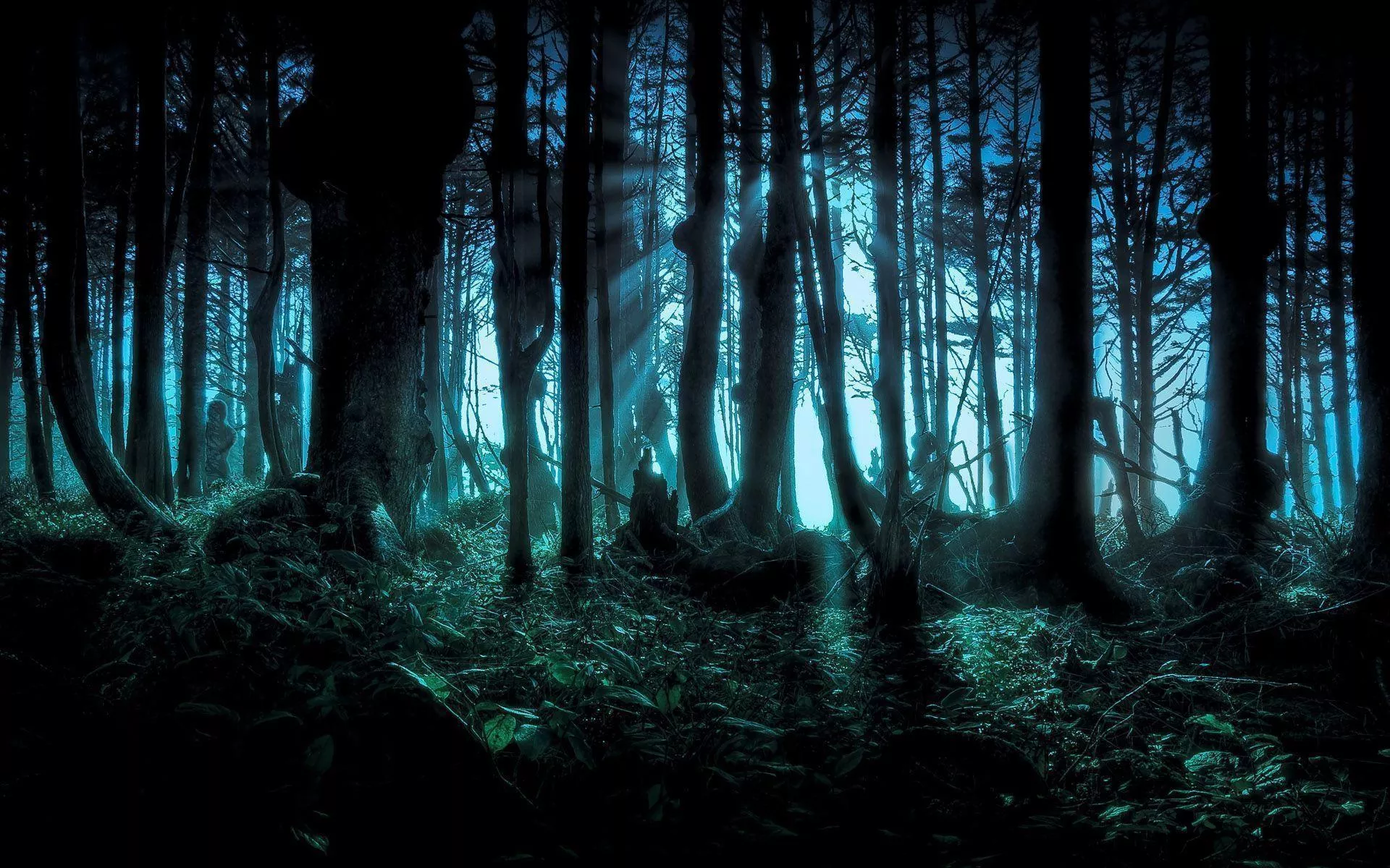 Dark Jungle Wallpaper HQ Free