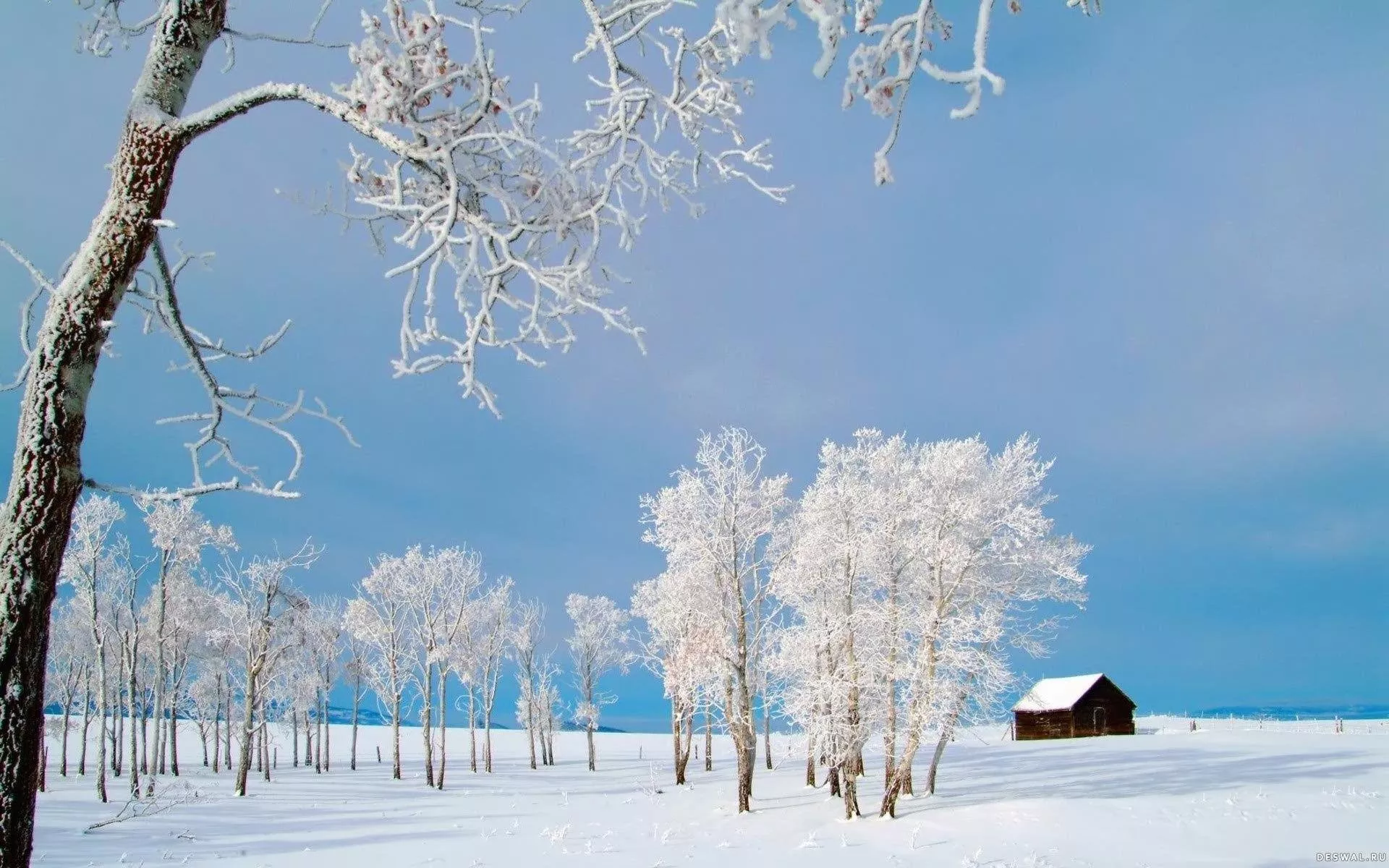Winter Season Wallpaper Free