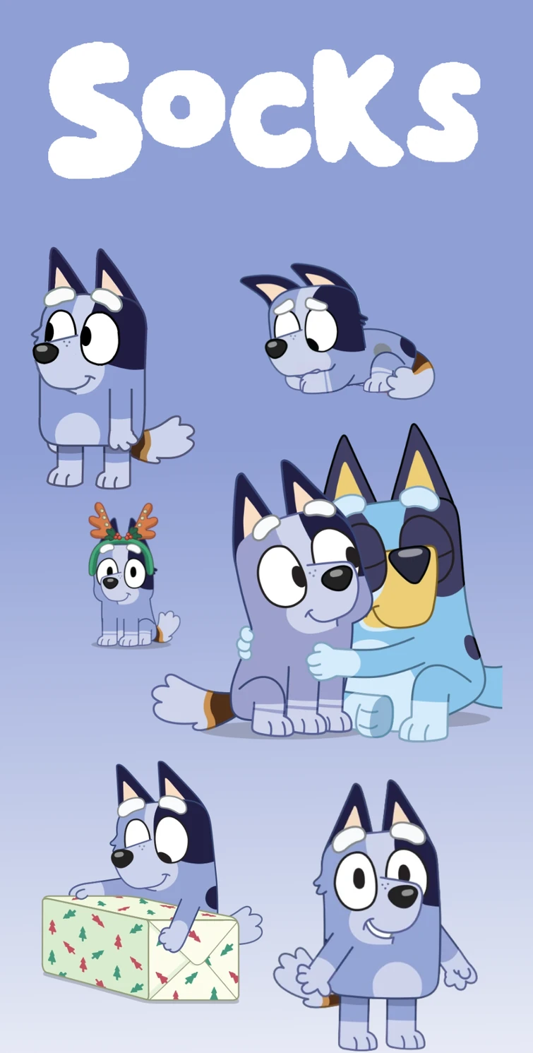 Socks wallpaper
