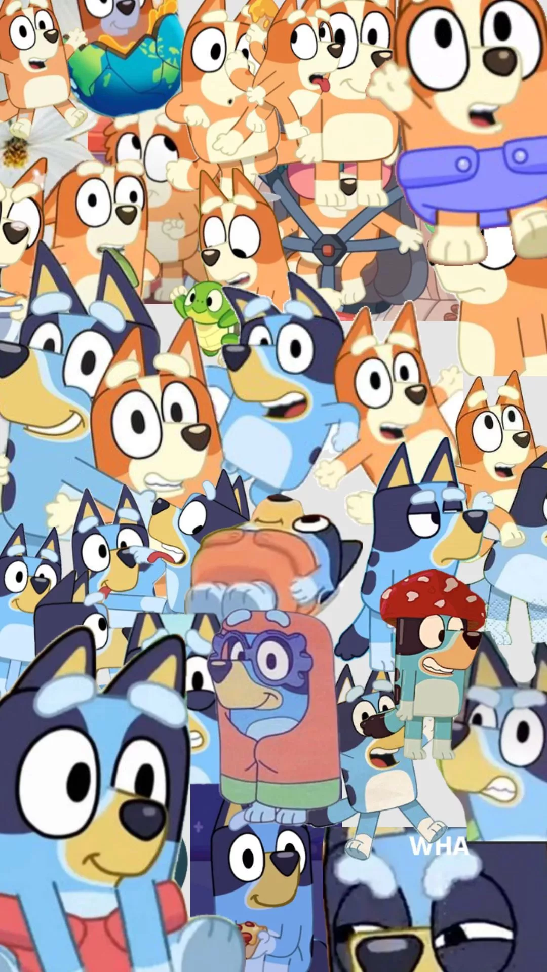 #bluey