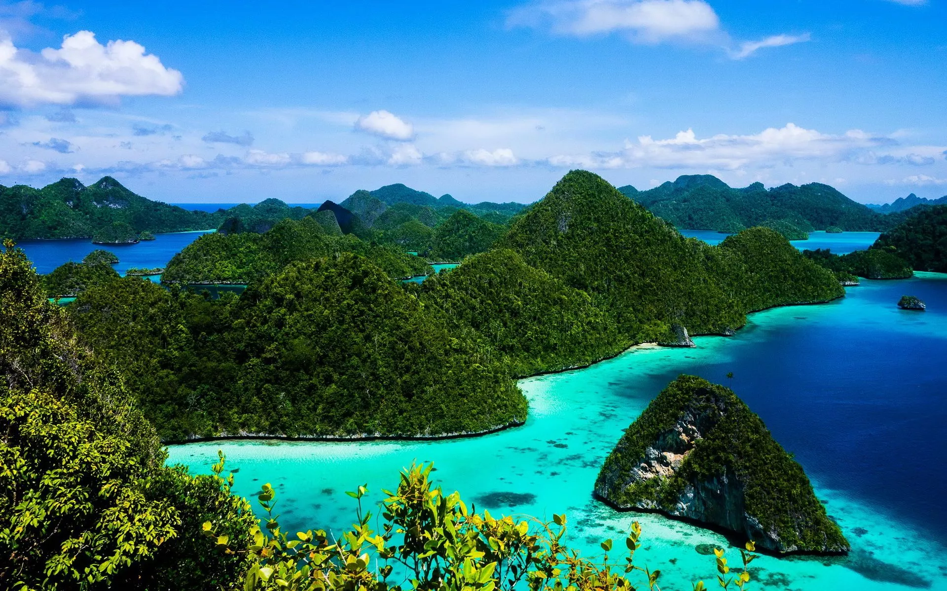 Forest Indonesia Nature Island HD Wallpaper