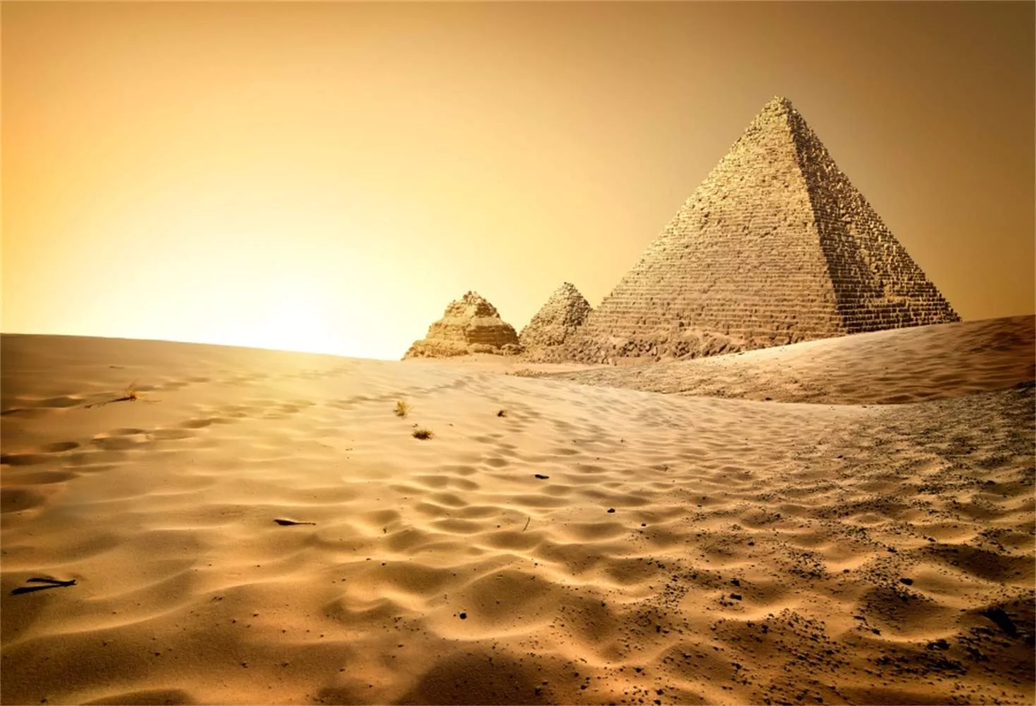 LFEEY 5x3ft Egyptian Pyramids Backdrop