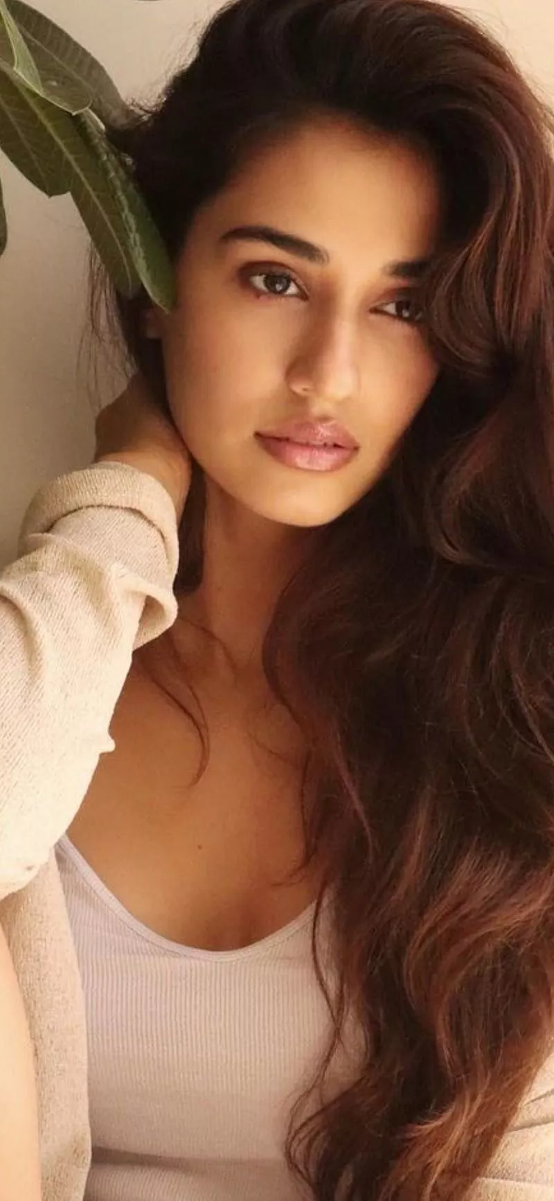 Disha, patani, HD phone wallpaper