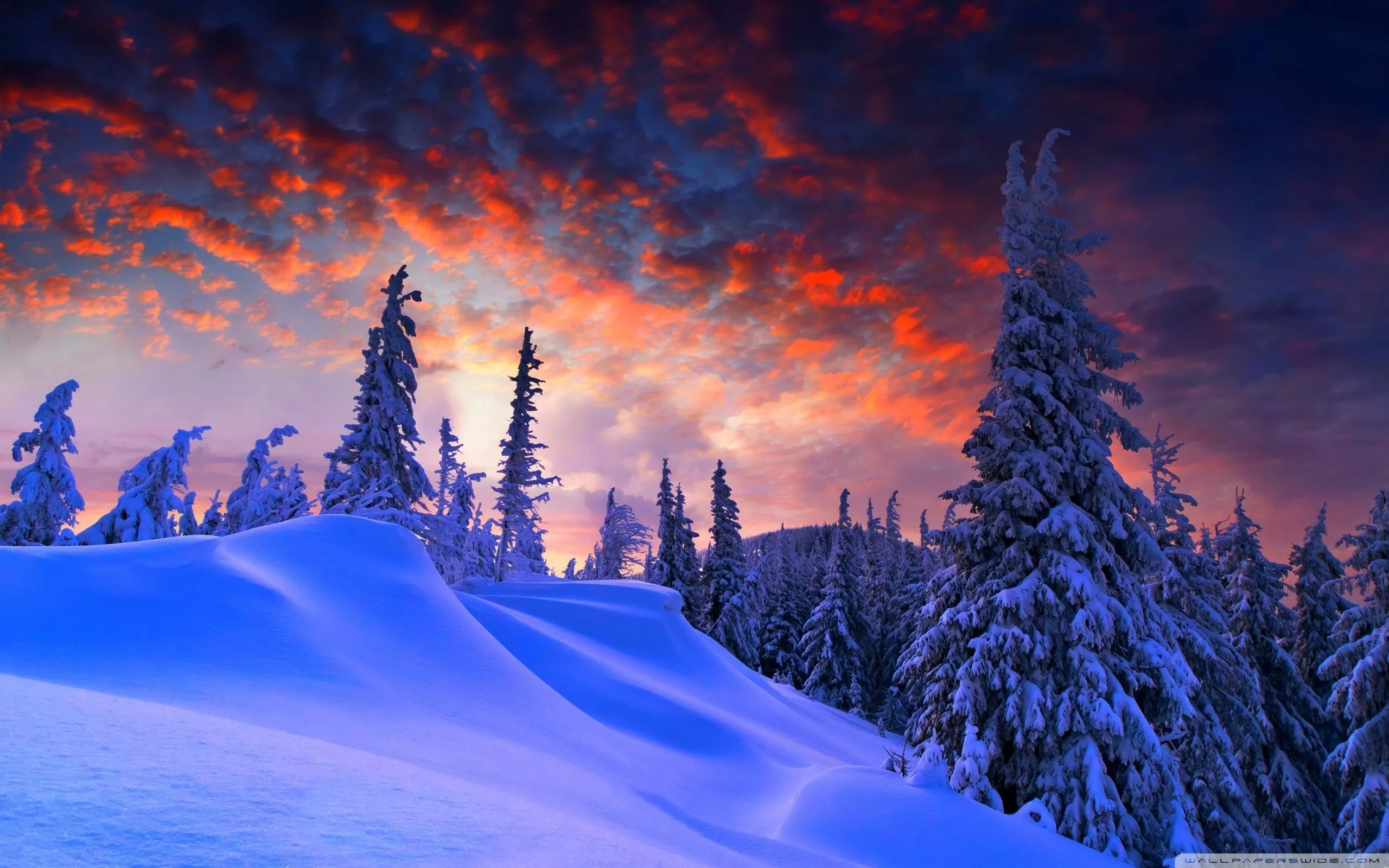 desktop wallpaper HD 2560x1600
