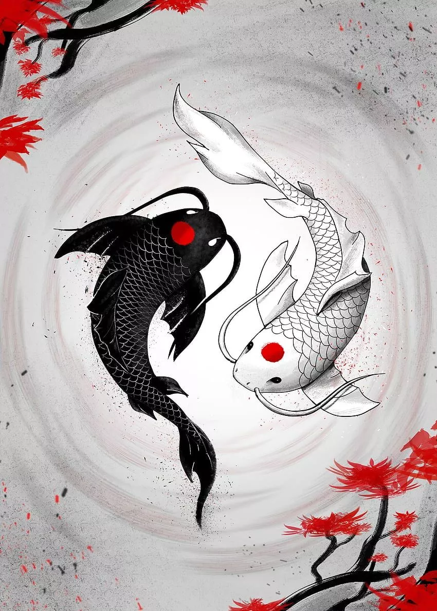 Yin Yang Fish, Fish Art HD phone