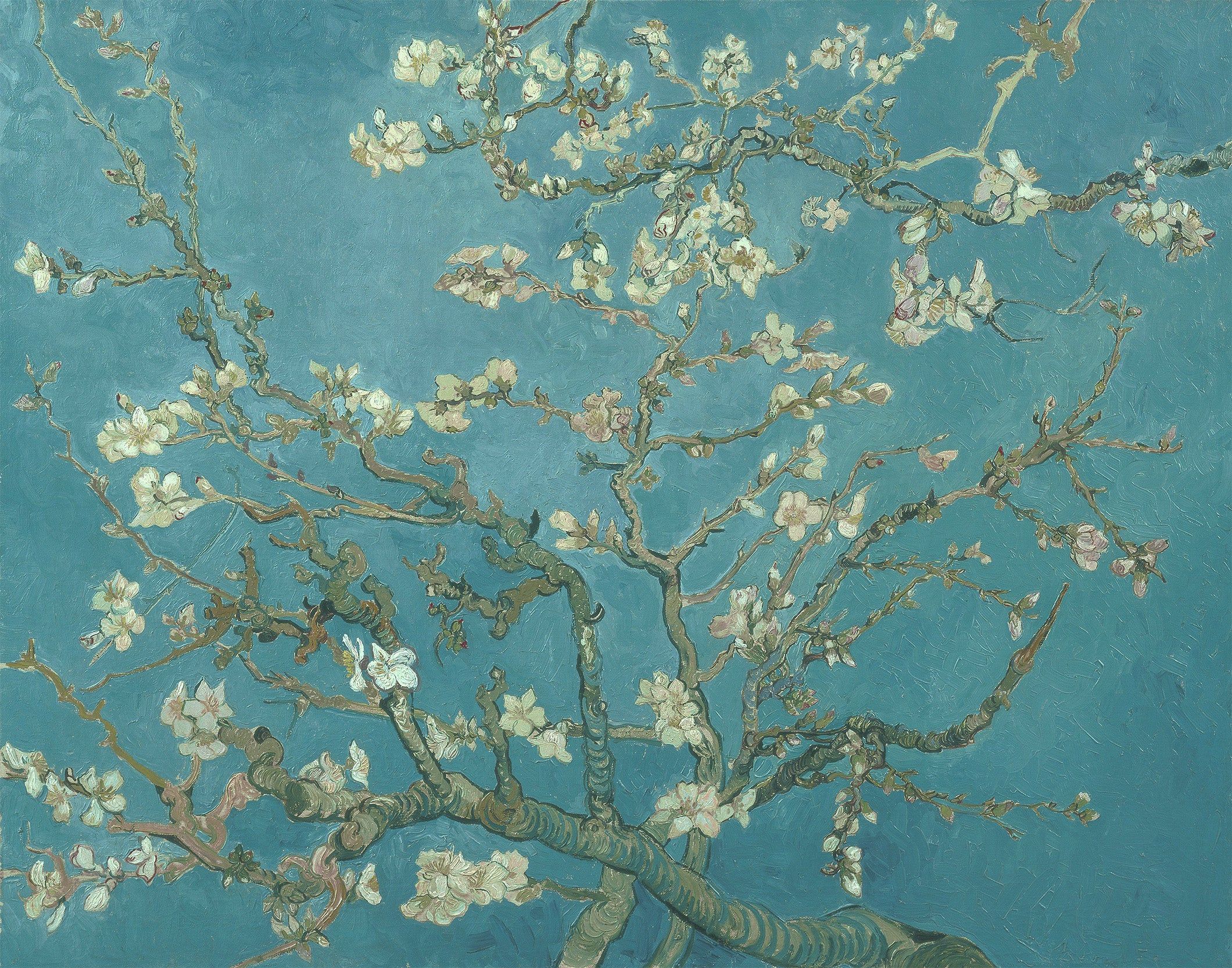 Vincent van Gogh Almond Blossoms Wall