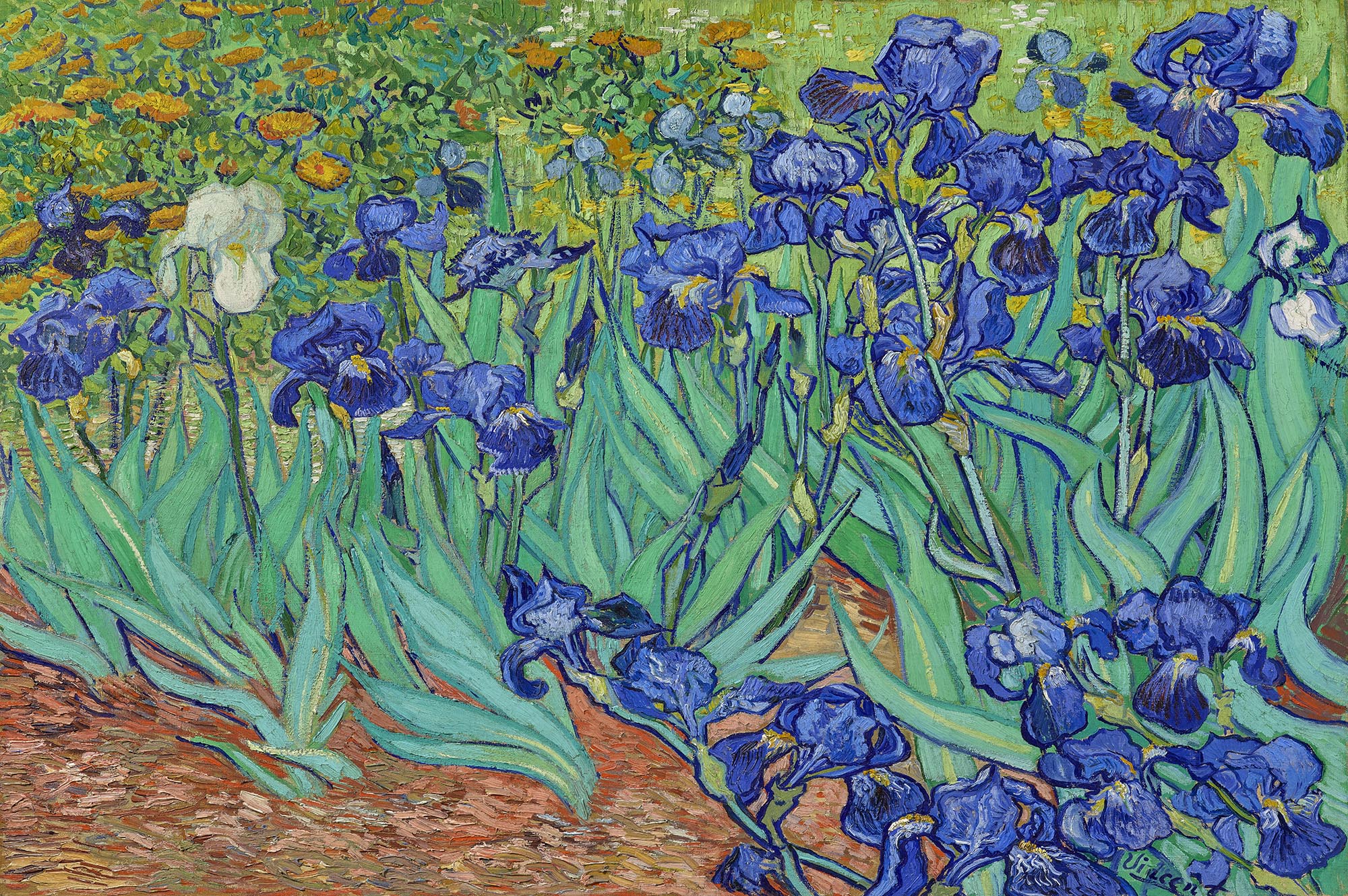Irises Art Wallpaper mural Gogh