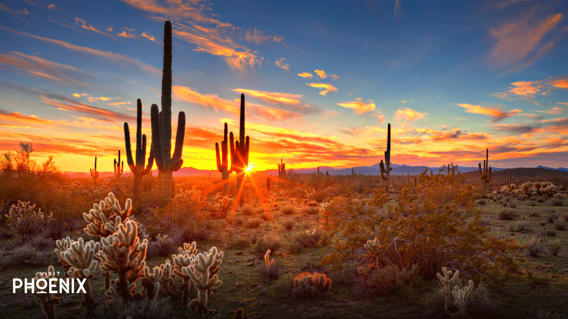 Arizona Background