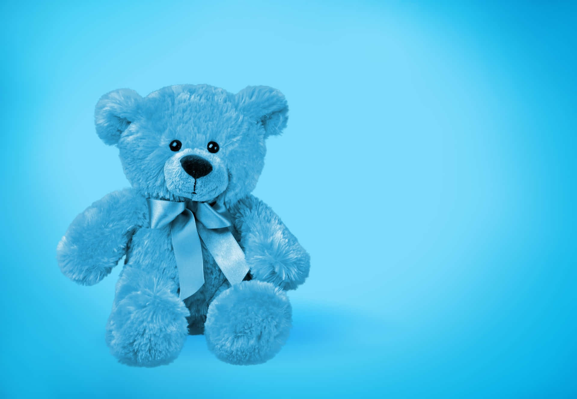 Blue Teddy Bear On A Blue Background