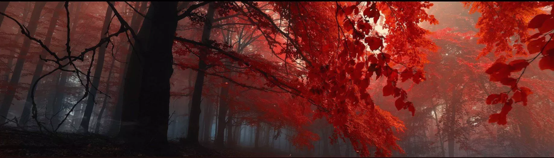 Best Ultrawide Wallpaper on Wallpaper