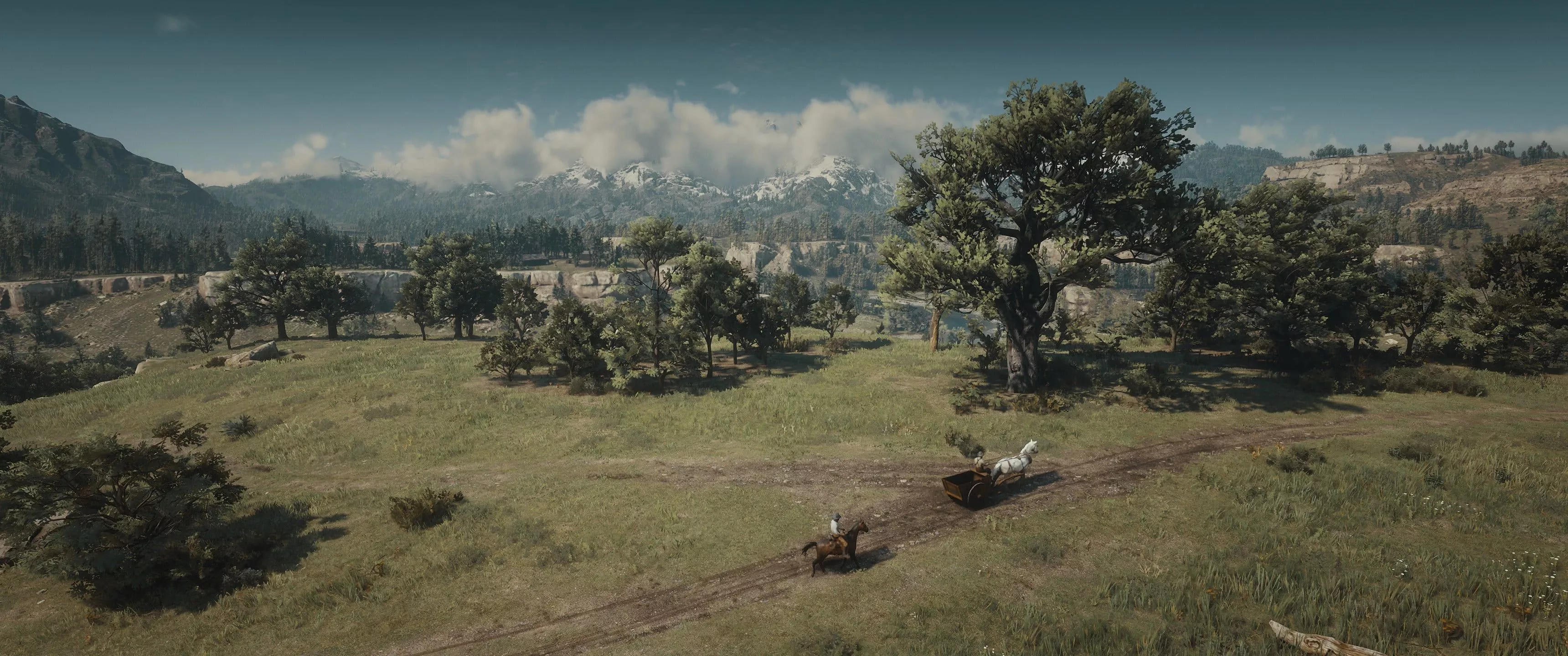 HD wallpaper: Red Dead Redemption 2